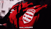 Club Africain Dodgers GIF