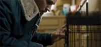 tom hardy puppy GIF by Fox Searchlight