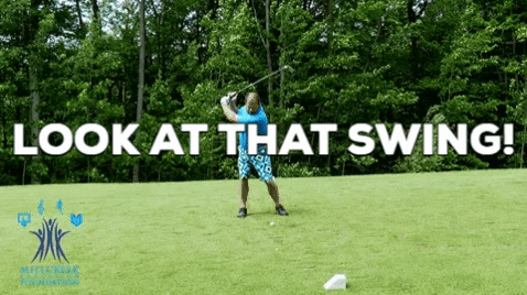 giphymaker41 giphygifmaker GIF