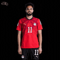 Fifa World Cup Egypt GIF by Respective