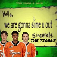 Medicine Hat Whl GIF