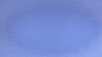 Look Looking GIF by St. Louis Community College