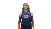 Cnvb Blowingkisses Sticker by Carson-Newman Athletics