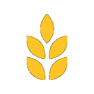 kelloggskorea giphygifmaker cereal wheat kelloggs Sticker