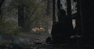 Nic Cage Pig GIF by NEON