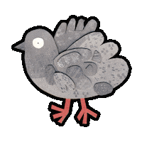 Bird Pigeon Sticker