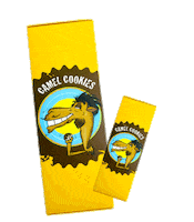 Abu Dhabi Yas Sticker by Camel Cookies