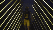 Go Blue Michigan Football GIF by Michigan Athletics