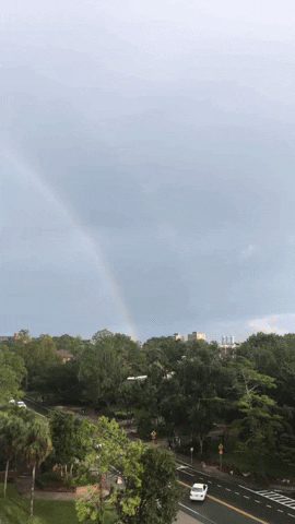 rain storm rainbow GIF by University of Florida