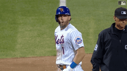 Celebrate Ny Mets GIF by New York Mets