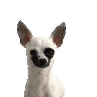 iheartzoukradio zouk ihzr zouk to it Sticker