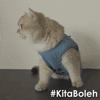 bored world cup GIF by Celcom