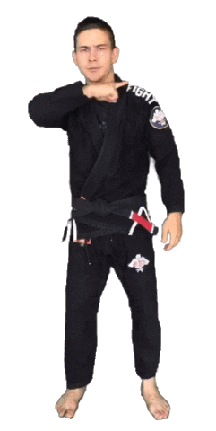 BJJDachau giphyupload cut bjj jiujitsu Sticker