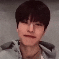 Skz Straykids GIF