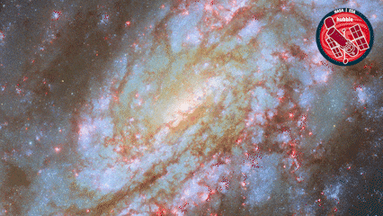 Spiral Galaxy Universe GIF by ESA/Hubble Space Telescope