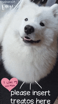 Dog Love GIF