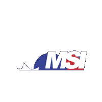 Msi Credit Sticker by MSI Credit Solutions
