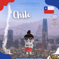 La Roja Chile GIF by Zhot