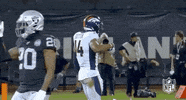 Regular Season Football GIF by NFL
