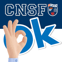 Catalunya Sticker by CNSF