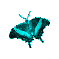 Mothers Day Mãe Sticker by CDL_SM