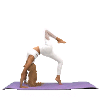 Yogaacademy Sticker by Yoga Academy Istanbul