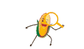 Agro Agronegocio Sticker by AgroBayer Brasil
