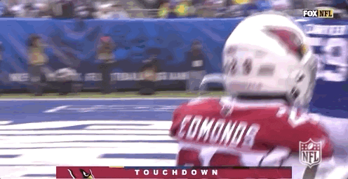 Regular Season Football GIF by NFL