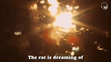 The Rat Is Dreaming Of A Desirable Future