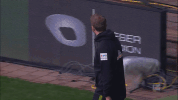 bundesliga werderbremen GIF