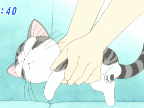 chis sweet home GIF