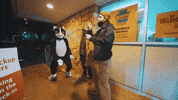 Cat Song GIF by Anthony Green