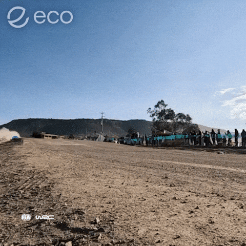 To The Moon Crypto GIF by Eco