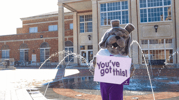 Spike GIF by Truman State University