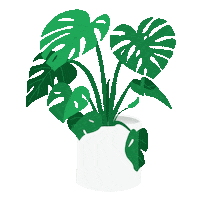 Flower Plant Sticker