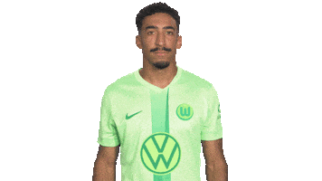 Wo Look Around Sticker by VfL Wolfsburg