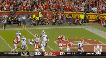Kansas City Chiefs Football GIF by NFL