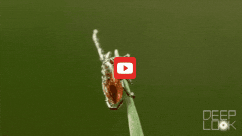 GIF by KQEDScience