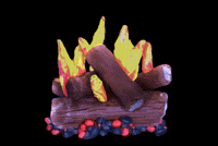 Camp Fire