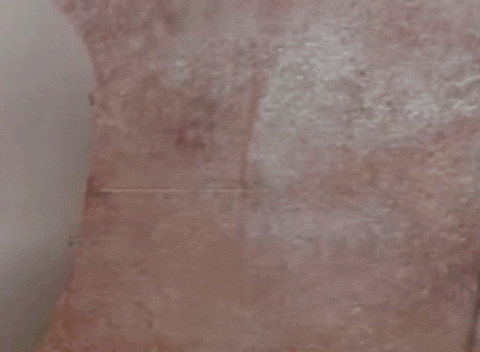 shed nuclear blast GIF by Meshuggah