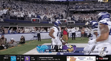 National Football League GIF by NFL