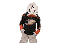Ice Hockey Thumbs Up Sticker by NHL