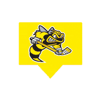 Rainbow Box Sticker by Sarnia Sting