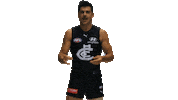 Carlton Fc Money Sticker by Carlton Football Club