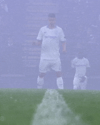 Tresoldi GIF by Club Brugge