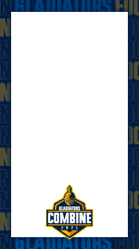 Nfl Frame Sticker by Gladiators Football