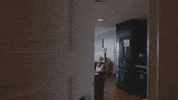 Hgv GIF by Switzerfilm