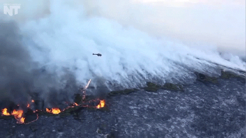 forest fire news GIF by NowThis 