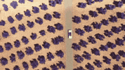 little mix fun GIF by Columbia Records