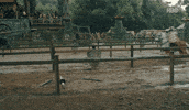 A Knight Of The Seven Kingdoms Hbo GIF by Game of Thrones